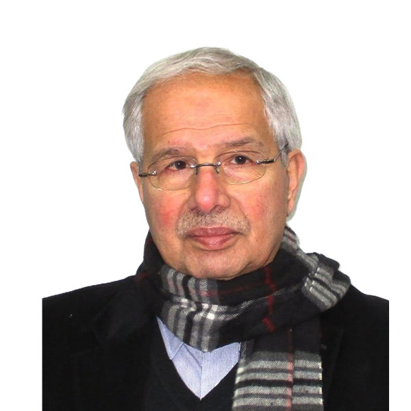 د. محسن الموسوي