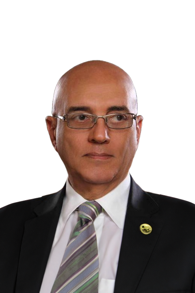 محمد سلماوي